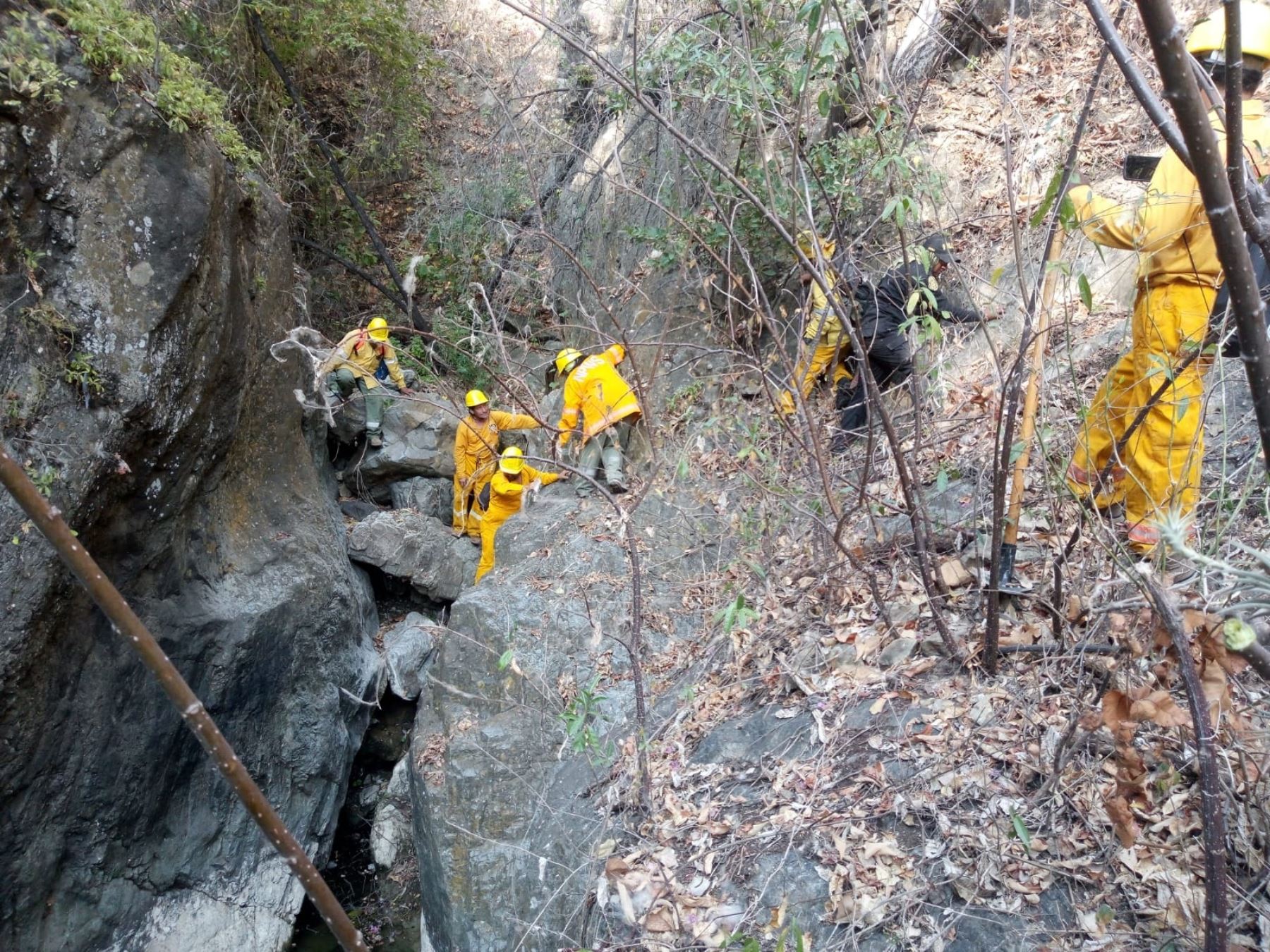 El incendio forestal no afectó a la vida y salud de la población. ANDINA/Difusión