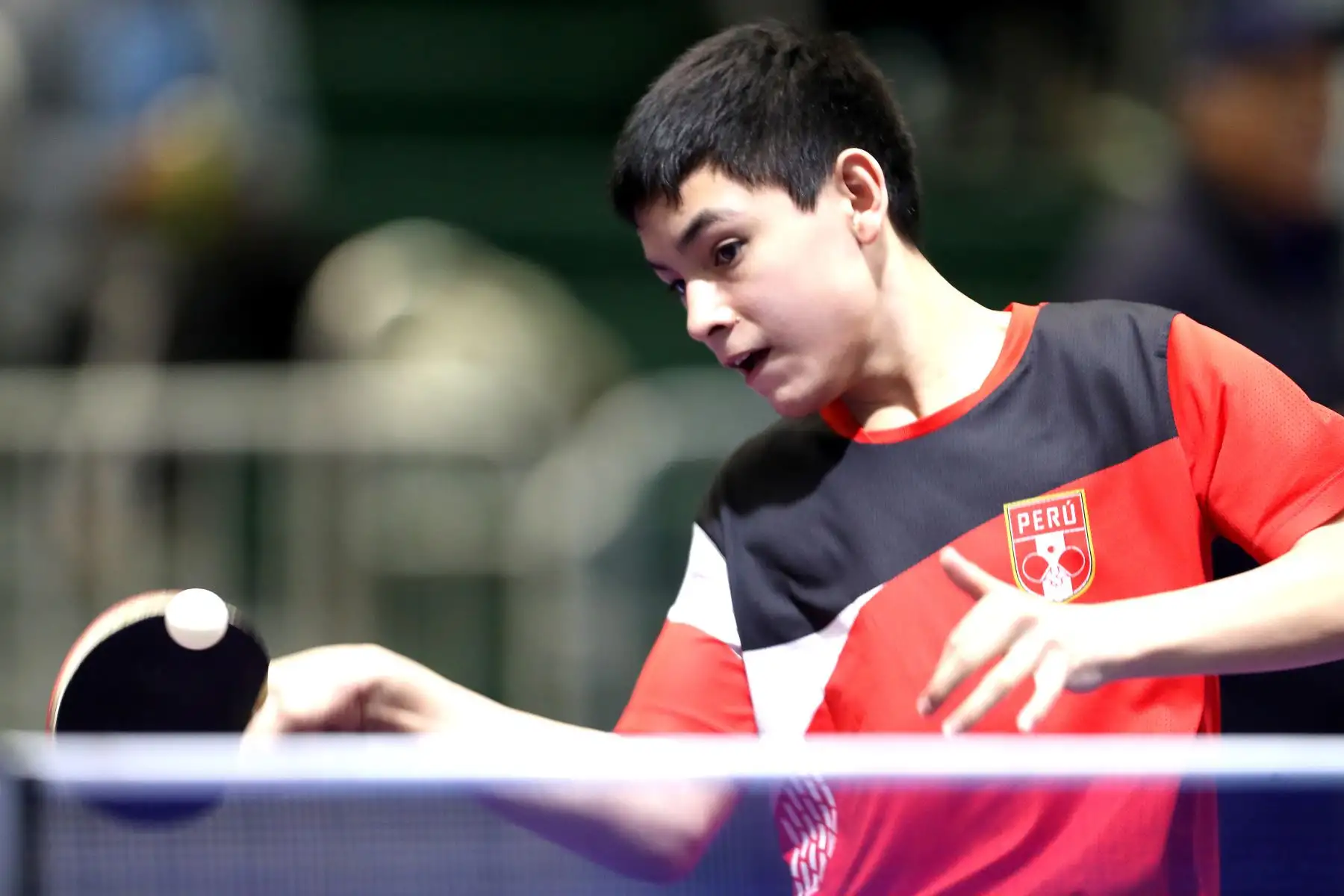 Samuel Duffoo ( Perú)
Los mejores tenismesistas juveniles del continente participan  en el Campeonato Panamericano Juvenil Lima 2024, el cual es clasificatorio al Mundial de la categoría que se realizará en noviembre en Suecia.
Foto : ANDINA/ Lino Chipana.