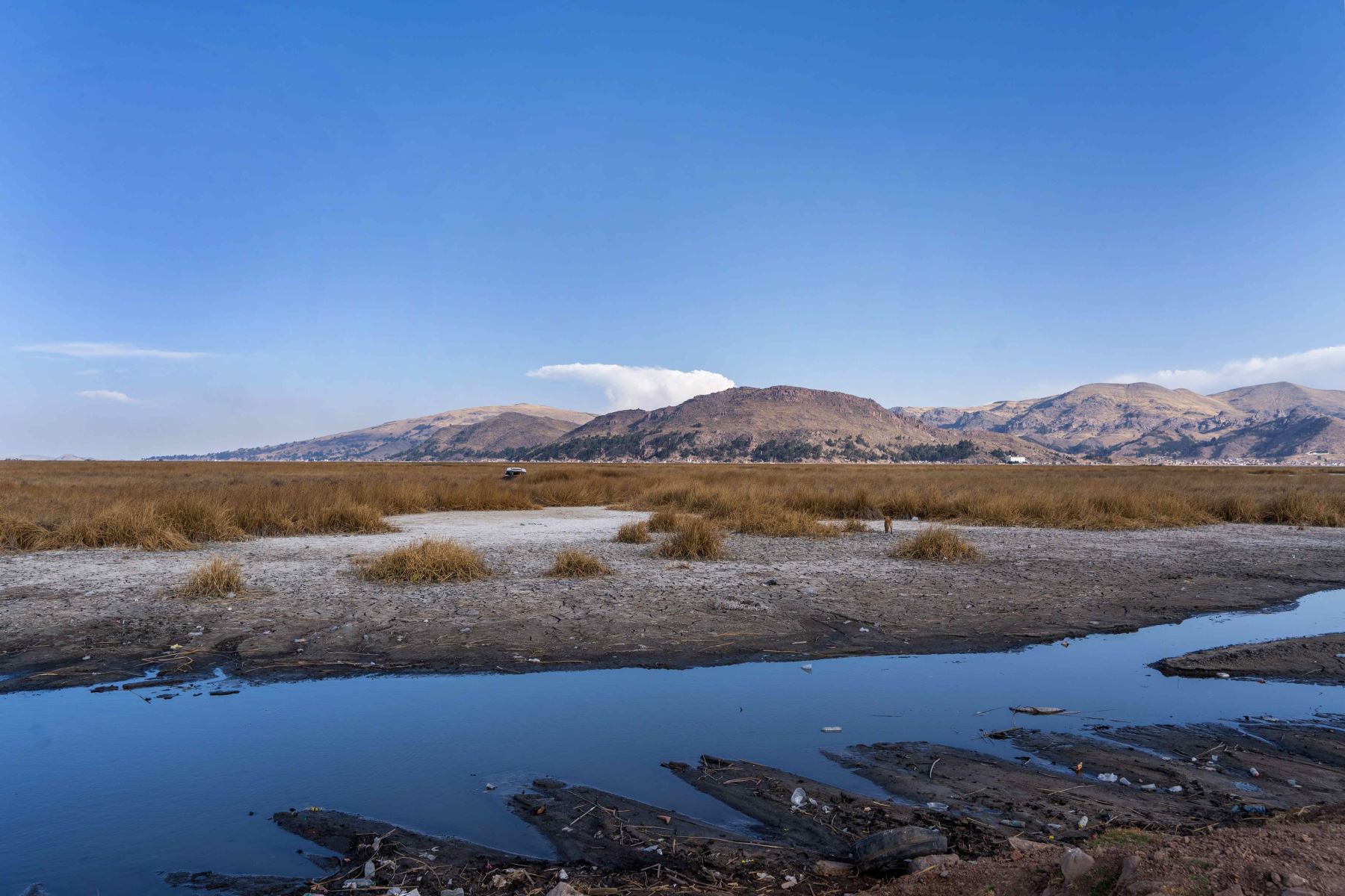 El nivel del lago Titicaca, el lago navegable más alto del mundo, que comparten Perú y Bolivia, ha disminuido en 55 centímetros en su costa peruana, alertó el director de la oficina del Servicio Nacional de Meteorología e Hidrología (Senamhi) de Puno, Sixto Flores Sancho. Foto: EFE