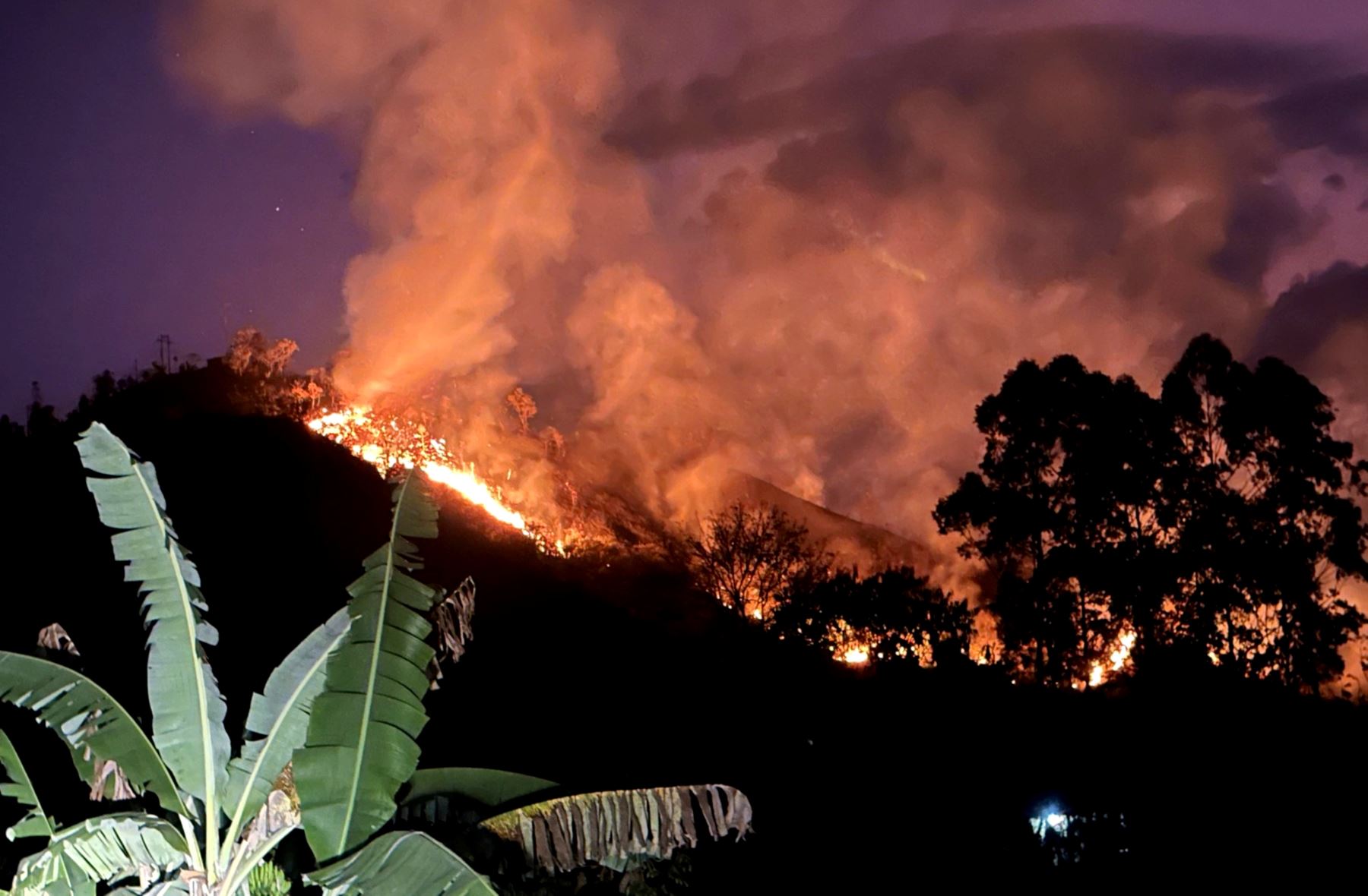 Más de 2,000 hectáreas de bosques y cultivos fueron arrasados por ocho incendios forestales que siguen activos en las provincias de Jaén y San Ignacio, en Cajamarca. ANDINA/Difusión