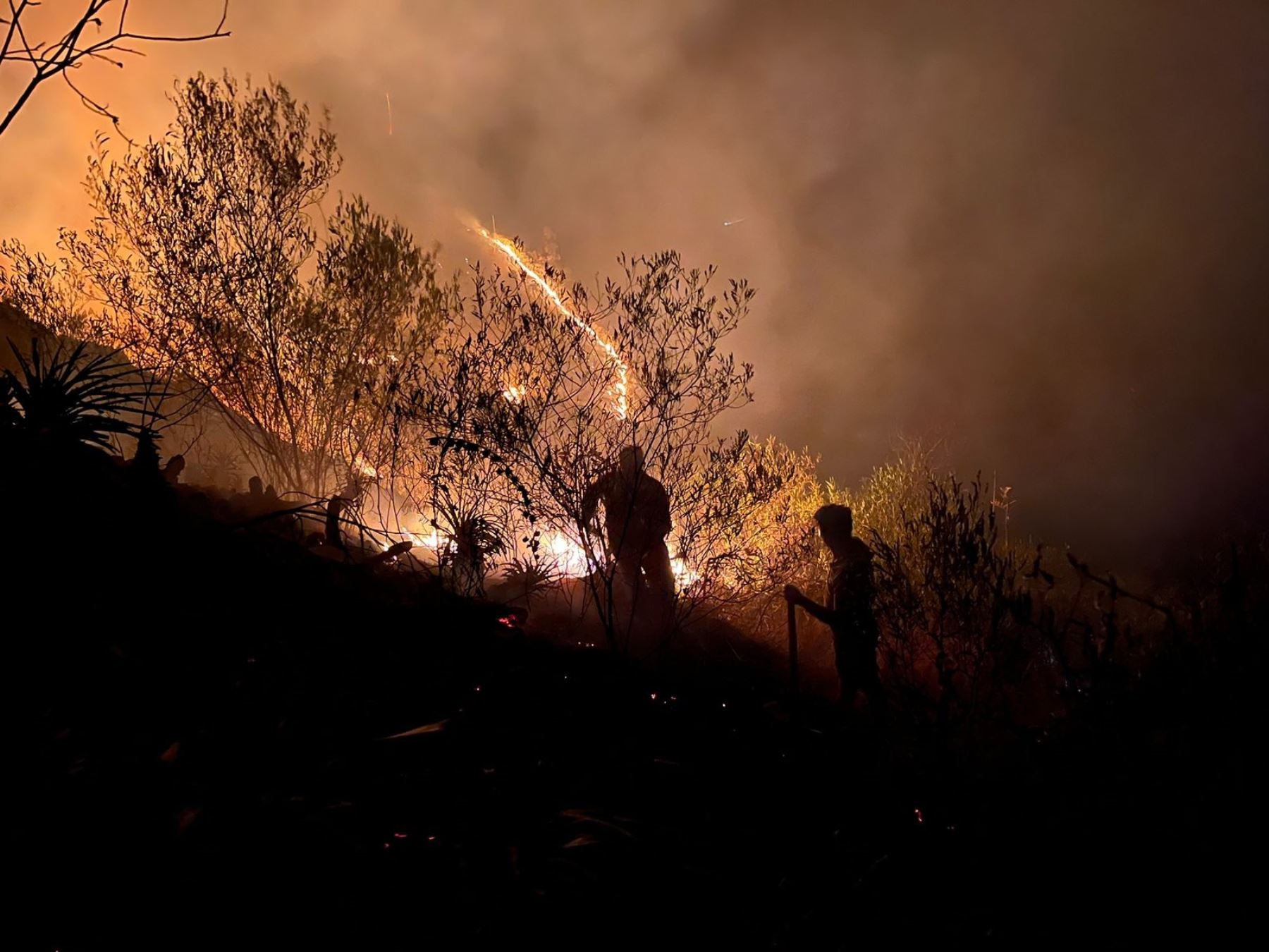 Los incendios forestales han arrasado con más de 2,257 hectáreas de cobertura natural y deja afectados a un número similar. ANDINA/Difusión