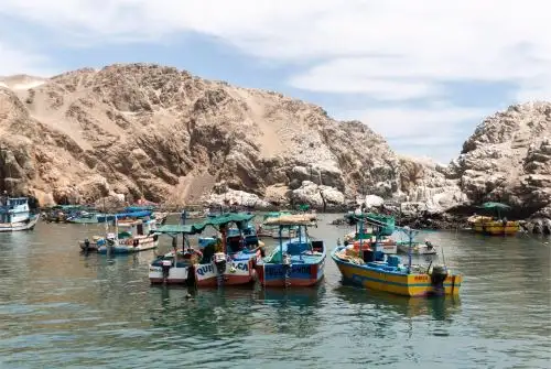 Pescadores artesanales. ANDINA/Difusión