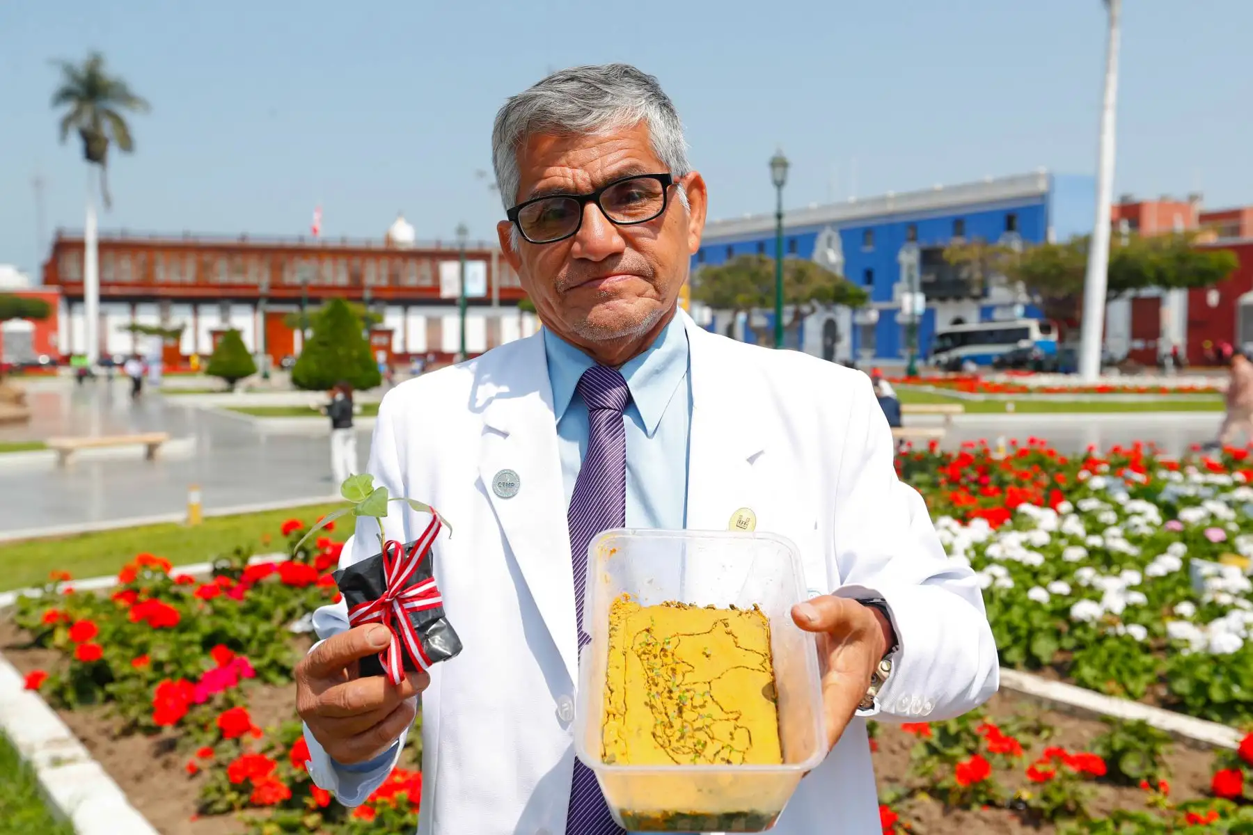 Él es Roque Rodríguez, científico en biotecnología, quien lidera los trabajos de plantar árboles de la quina en la ciudad de Trujillo, región La Libertad, con el fin de revalorar la especie y salvarla de su extinción. Foto: ANDINA/Daniel Bracamonte