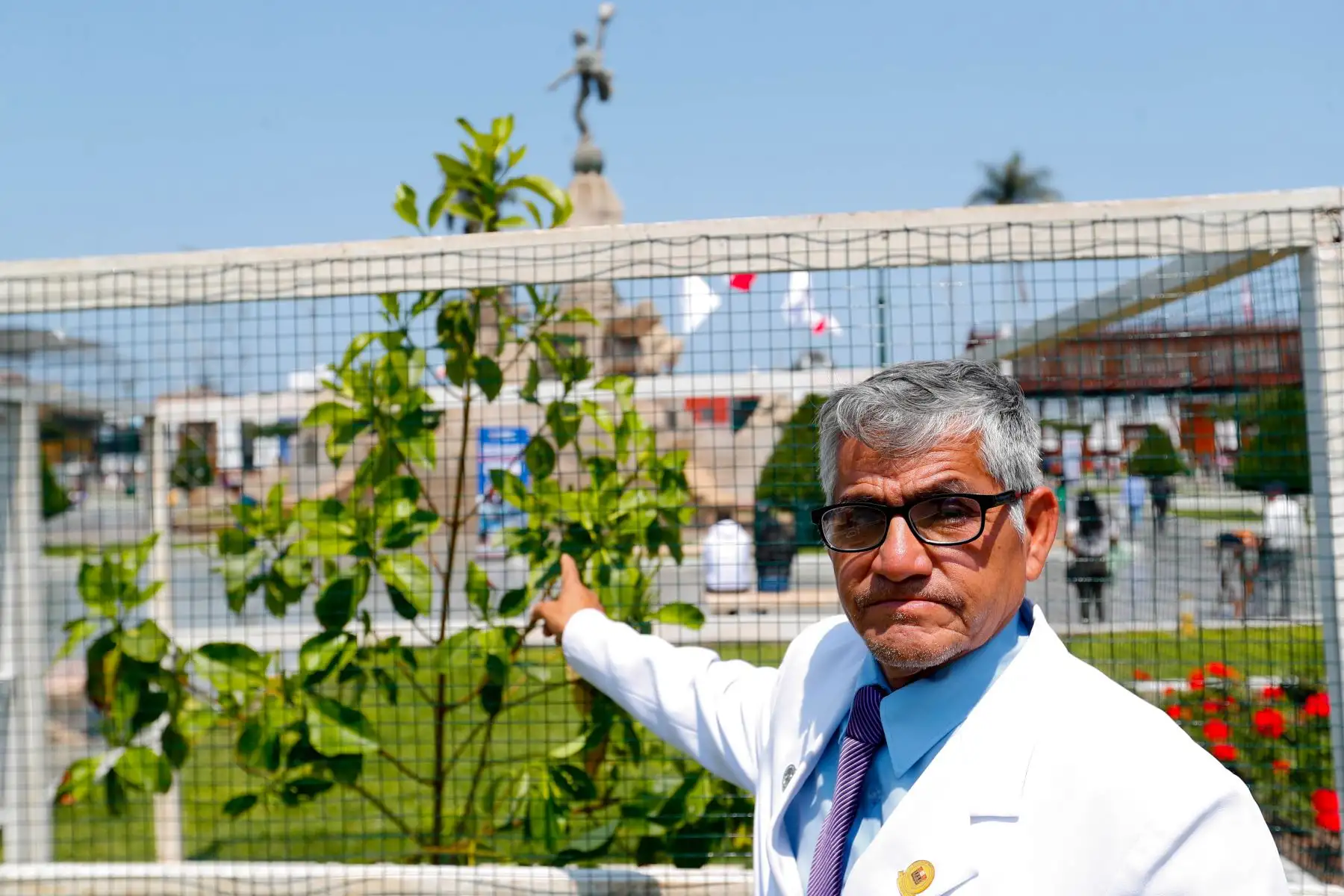 Él es Roque Rodríguez, científico en biotecnología, quien lidera los trabajos de plantar árboles de la quina en la ciudad de Trujillo, región La Libertad, con el fin de revalorar la especie y salvarla de su extinción. Foto: ANDINA/Daniel Bracamonte