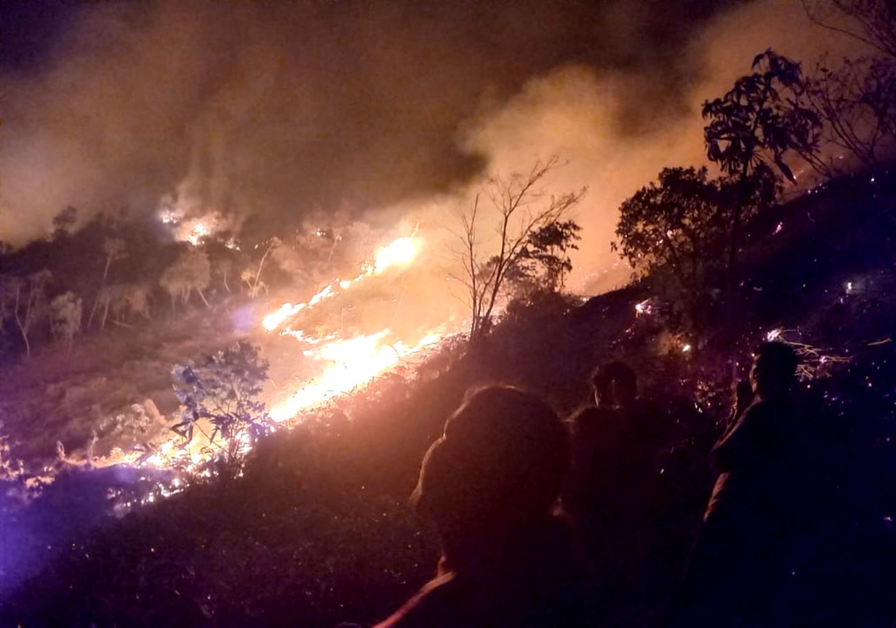 El Gobierno Regional de Cajamarca pidió al Ejecutivo declarar en emergencia a esta región por los daños causados por los incendios forestales. Agregó que siete siniestros siguen activos en igual número de provincias. ANDINA/Difusión