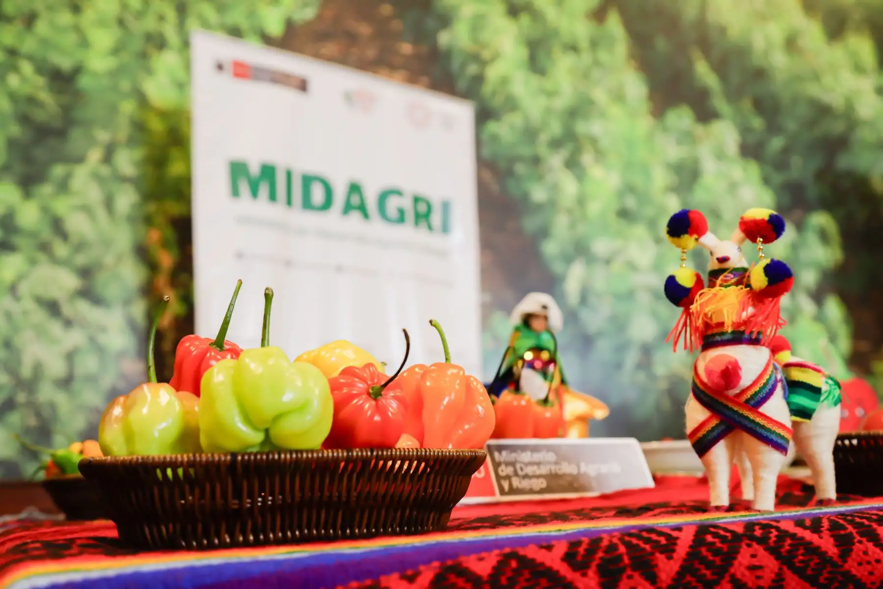 La producción de ají páprika se concentra en las regiones Lima y Arequipa, y solo el año 2023, el Perú exportó 37,756 toneladas de páprika por un valor de US$ 149 millones, lo que representó un crecimiento del 6 % en volumen y del 33 % en valor con respecto al año anterior. Foto: ANDINA/Difusión