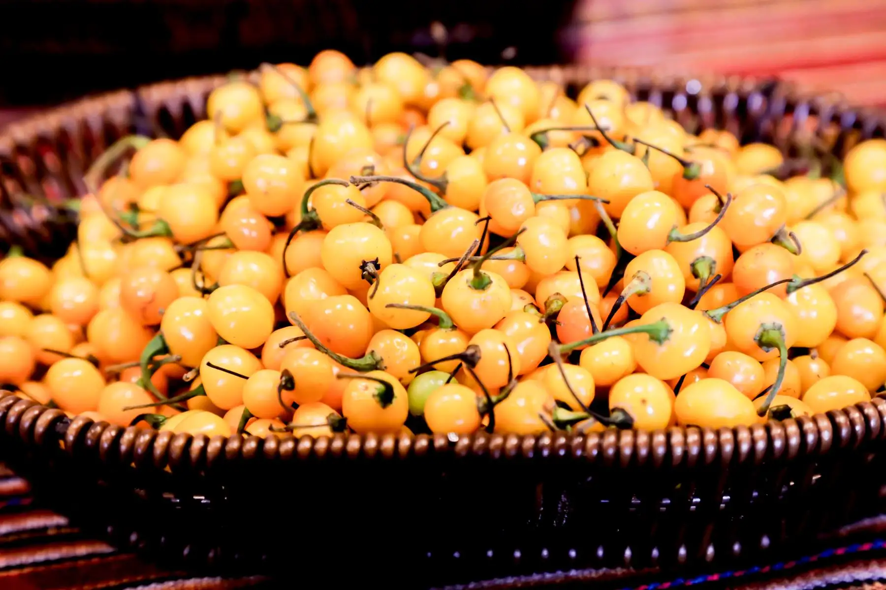 Perú es productor y exportador de frutos del género Capsicum como la páprika seca y de diversas variedades. Foto: ANDINA/Difusión