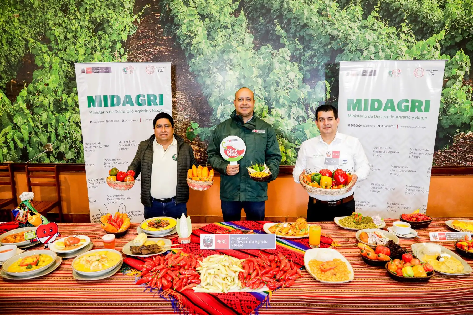 Del mismo modo, existen más de 11 mil productores agrarios dedicados al cultivo de ajíes, pimientos y rocotos, quienes conducen alrededor de 14 mil hectáreas en las 24 regiones.  Las cifras demuestran que la mayoría de productores de ajíes tiene propiedades menores a 1 hectárea, es decir, son pequeños. Foto: ANDINA/Difusión