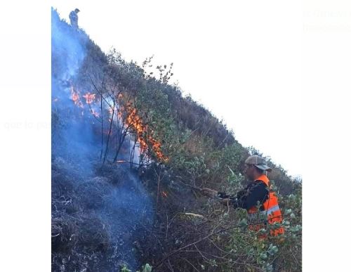 Un incendio forestal de grandes proporciones  se registra en Pasco. El fuego ha arrasado con más de 100 hectáreas de pino, eucalipto y pastizales en el distrito de Pallanchacra. ANDINA/Difusión