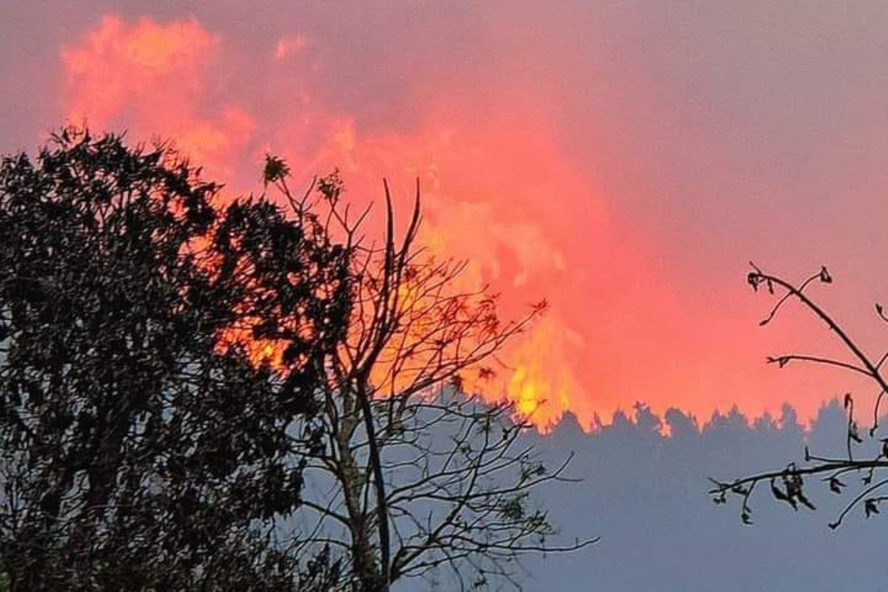 El fuego arrasó el cerro Macamango y afectó otros sectores, como Alejuyoc y Serranuyoc, en La Convención, región Cusco. Foto: ANDINA