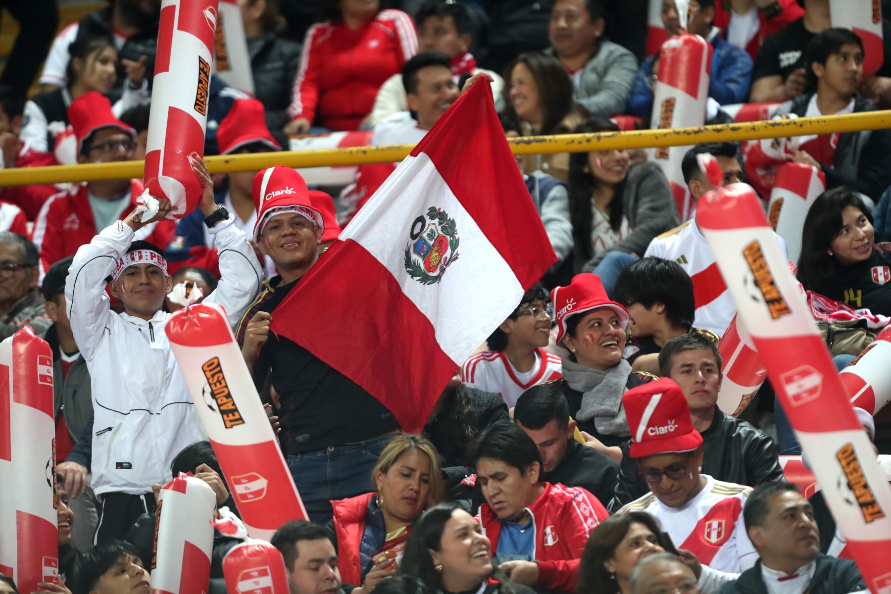 Hinchas de la selección peruana de fútbol en el Estadio Nacional. Foto: ANDINA/Lino Chipana.