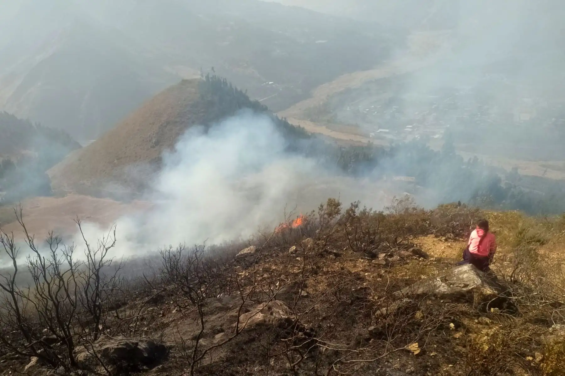 Los últimos incendios forestales reportados en las provincias de Santiago de Chuco y Sánchez Carrión, en la región La Libertad, fueron controlados por las brigadas de respuesta, pero dejaron un saldo negativo de más de 1000 hectáreas de cobertura vegetal destruidas, seis viviendas afectadas y el deceso de varias cabezas de ganado. Foto: ANDINA/Difusión