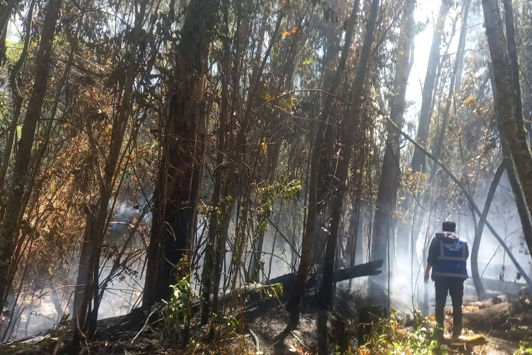 Los últimos incendios forestales reportados en las provincias de Santiago de Chuco y Sánchez Carrión, en la región La Libertad, fueron controlados por las brigadas de respuesta, pero dejaron un saldo negativo de más de 1000 hectáreas de cobertura vegetal destruidas, seis viviendas afectadas y el deceso de varias cabezas de ganado. Foto: ANDINA/Difusión
