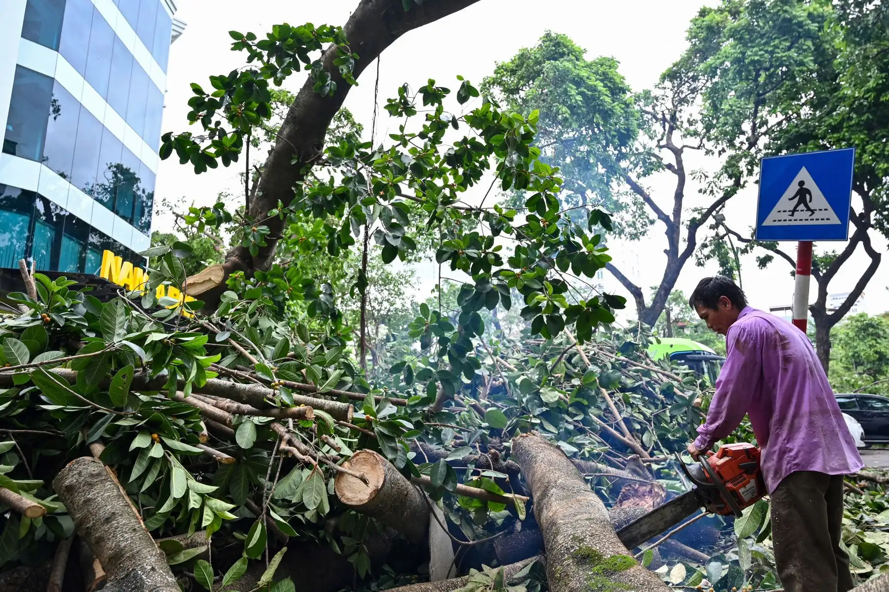 La tormenta, que tocó tierra el sábado cerca de Haiphong y perdió fuerza el domingo por la noche, derrumbó puentes, dañó fábricas y arrancó tejados de viviendas, con vientos que superaron los 149 km/h.
Foto: AFP