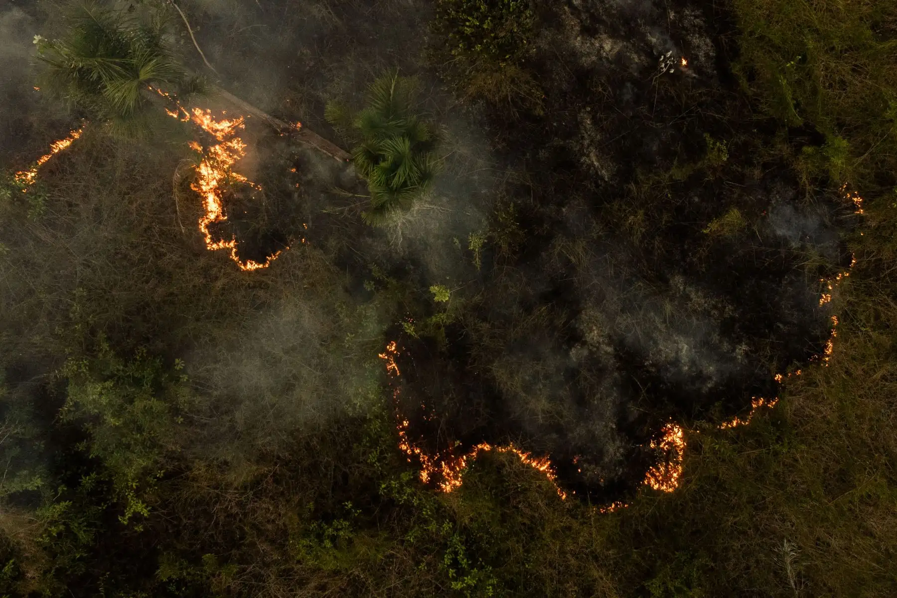Y "si tenemos en cuenta las zonas afectadas en los países vecinos y en el océano Atlántico, la superficie alcanzada el domingo es de 10 millones de km2", precisó esta investigadora en un correo del INPE enviado a la AFP. Foto: AFP