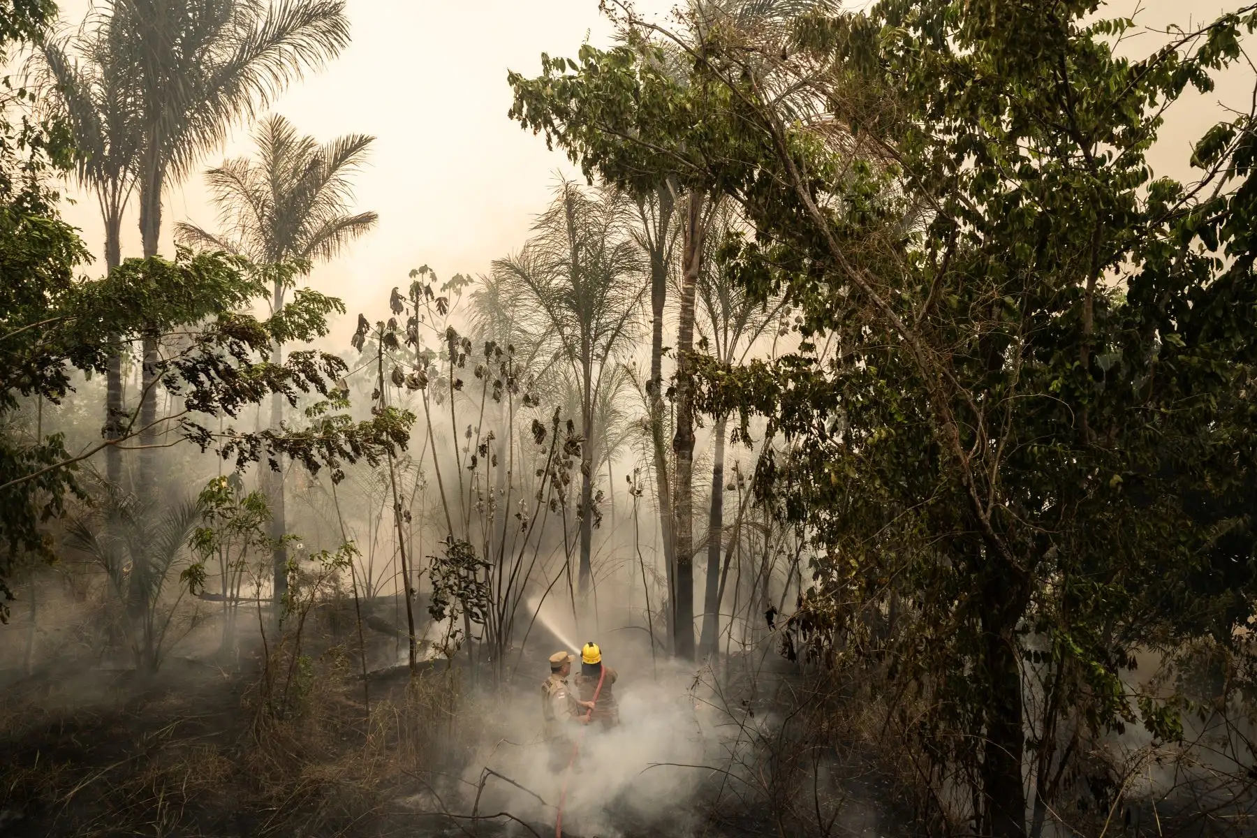 Las autoridades argentinas y uruguayas informaron a su vez este lunes de la presencia de este humo en varias regiones. Foto: AFP