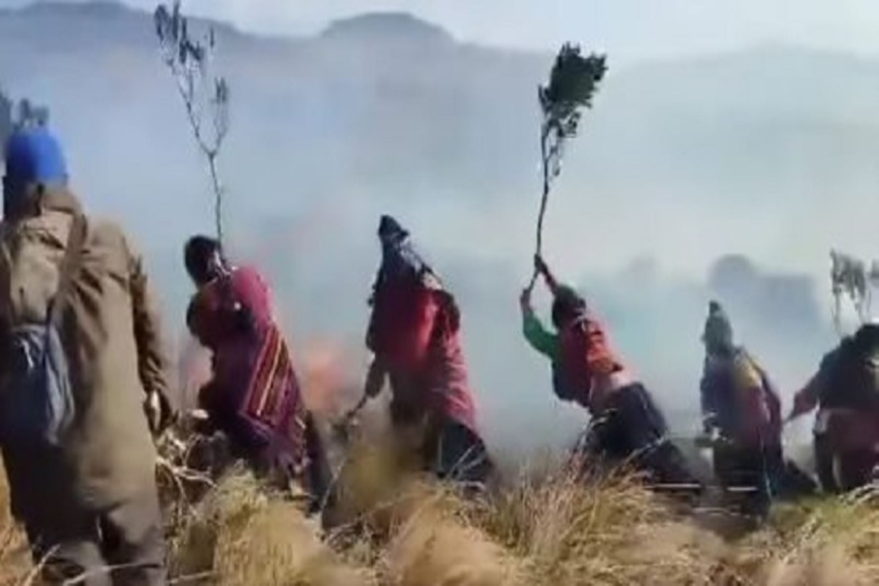 U total de 112 hectáreas (ha) de cobertura natural quedaron destruidas, mientras que 124 ha de cultivo y 12,0755 unidades de plantones de pino resultaron afectados.