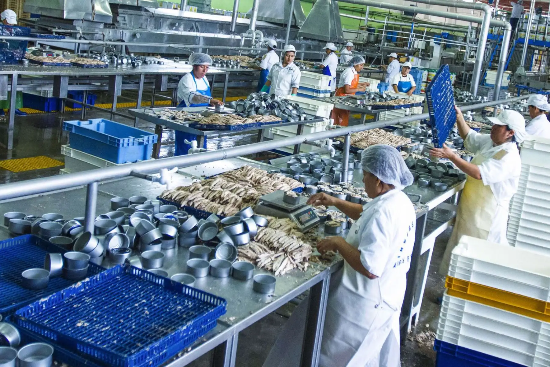 El consumo privado impulsará más empleo. ANDINA/Difusión