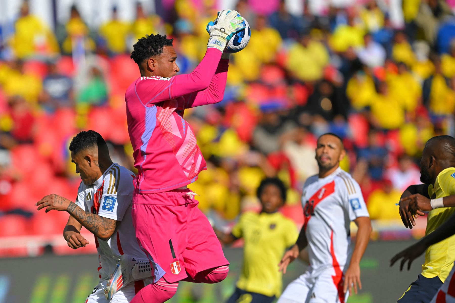 El portero peruano Pedro Gallese controla el balón durante el partido de fútbol de las eliminatorias sudamericanas para la Copa Mundial de la FIFA 2026 entre Ecuador y Perú, en el estadio Rodrigo Paz Delgado de Quito.
Foto: AFP