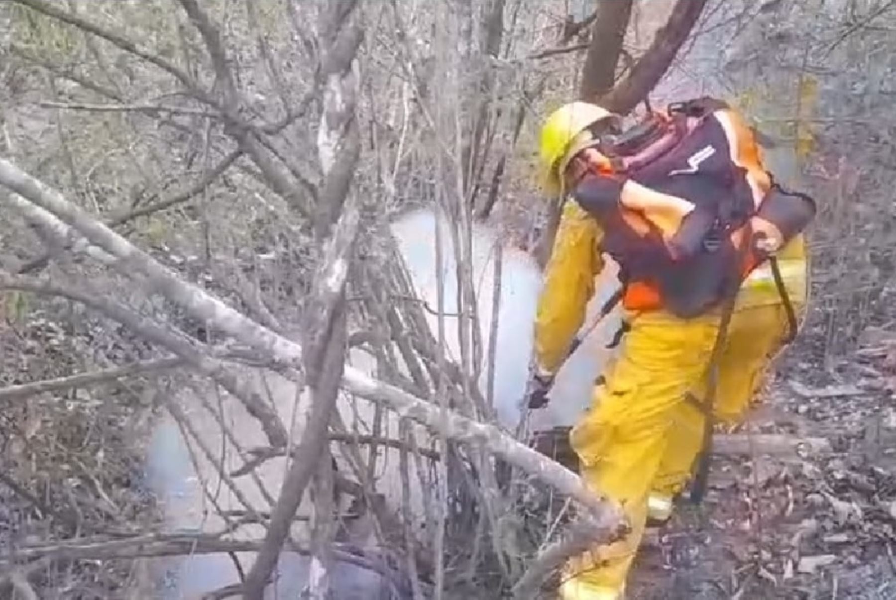 Gracias a la intervención de una aeronave de la FAP se logró sofocar uno de los incendios forestales que afectan a áreas naturales protegidas de Tumbes. ANDINA/Difusión