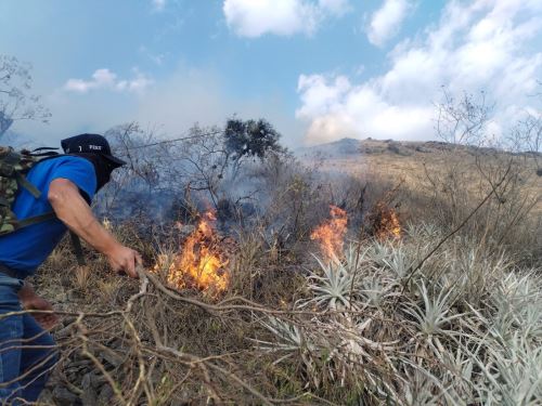 La región Áncash suma tres víctimas mortales a causa de los más de 200 incendios forestales reportados en lo que va del año, informó el COER Áncash. ANDINA/Difusión