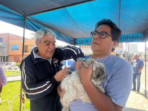 Diresa Tacna lanza campaña para vacunar contra la rabia a 36,638 canes de esa región. ANDINA/Difusión