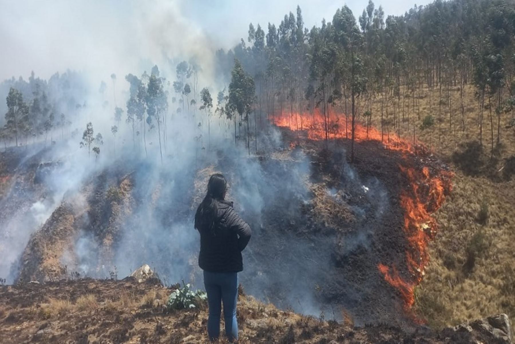 Hasta el sábado 14 de septiembre habrá condiciones atmosféricas que favorecerán la ocurrencia de incendio forestales en las provincias andinas de la región La Libertad.