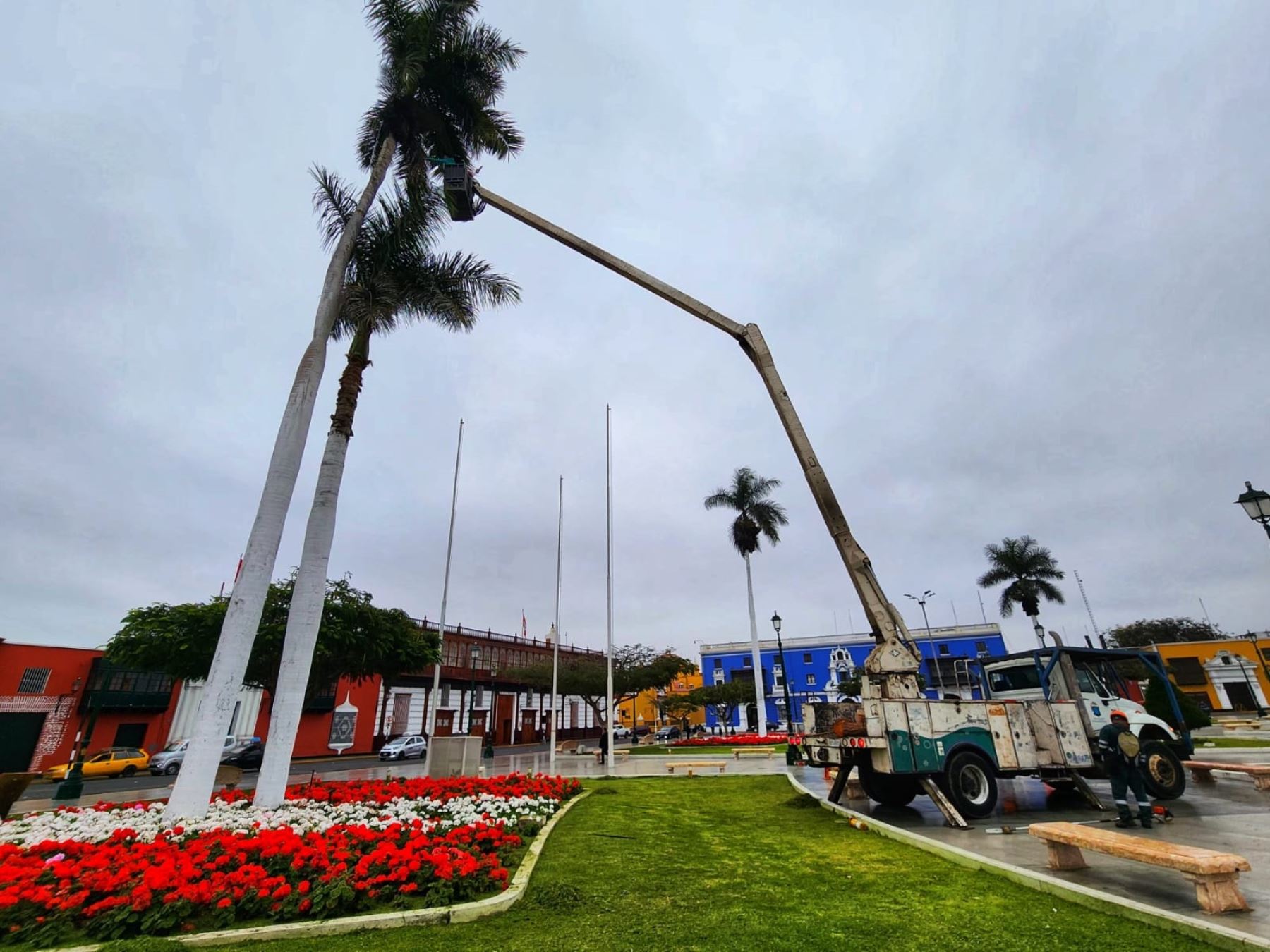 Como parte de los preparativos para la realización del Festival Internacional de Primavera, el Segat inició una serie de trabajos de mantenimiento en las áreas verdes de Trujillo. ANDINA/Difusión