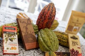 El cacao es un perfecto sustituto de la coca y sus mejores precios atraen a más productores. ANDINA