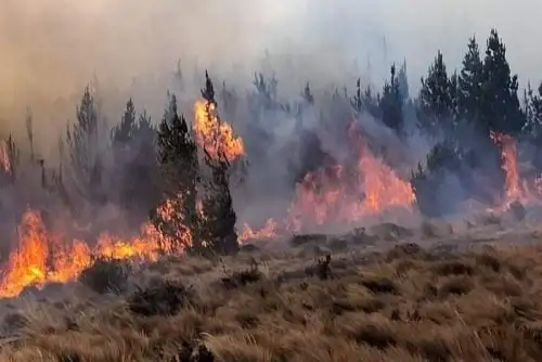 Alcalde de Incahuasi, Jesús Vilcabana Manayay, pidió a la población que se encuentra en las cercanías evacuar el área de inmediato Vilcabana Manayay pidió a la población que se encuentra en las cercanías evacuar el área de inmediato.