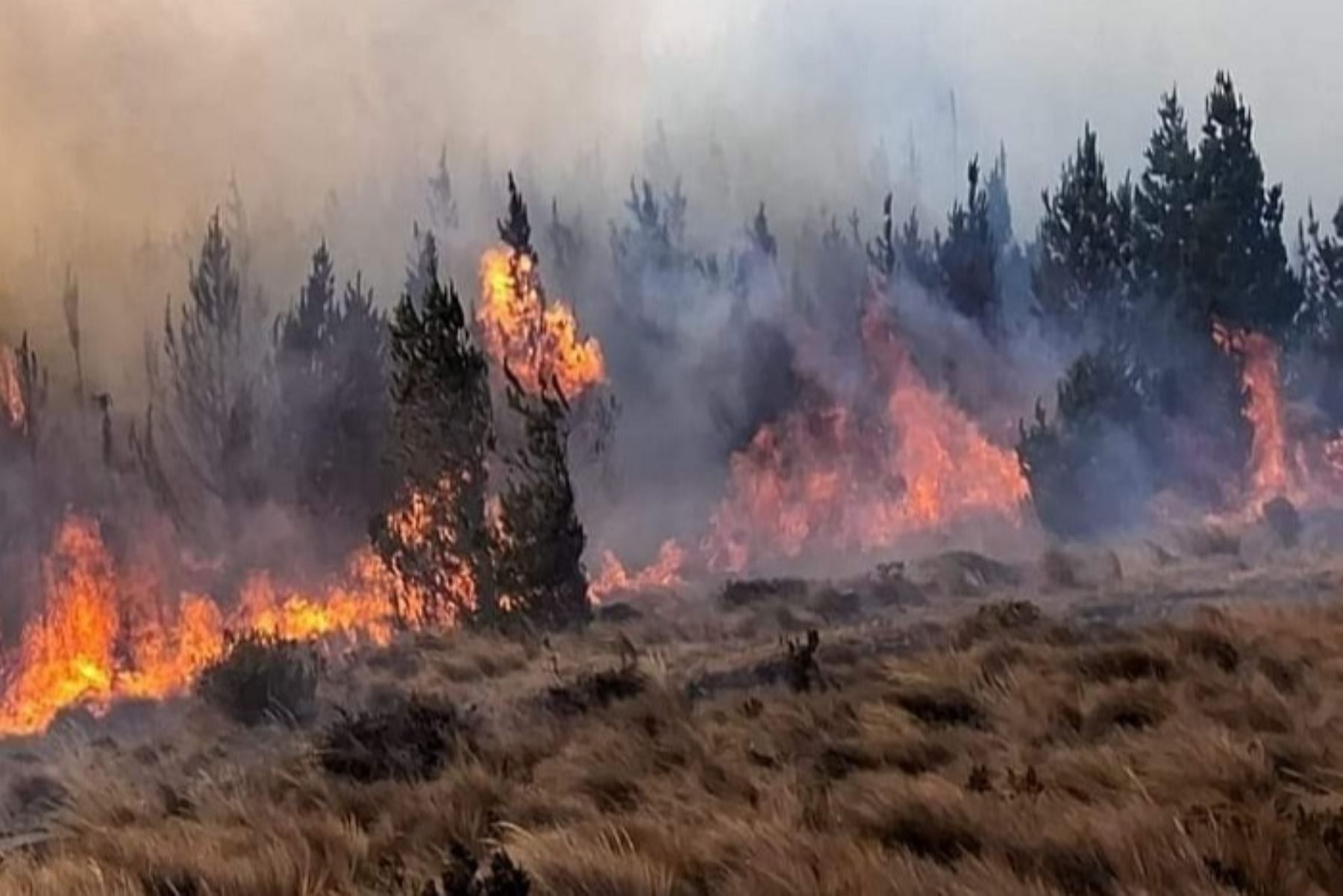 Alcalde de Incahuasi, Jesús Vilcabana Manayay, pidió a la población que se encuentra en las cercanías evacuar el área de inmediato Vilcabana Manayay pidió a la población que se encuentra en las cercanías evacuar el área de inmediato.