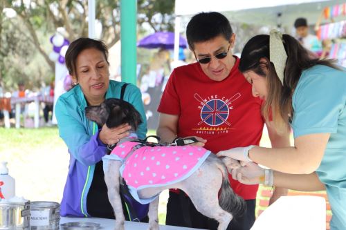 Los engreídos de la familia serán atendidos por especialistas de la veterinaria municipal del distrito. ANDINA/ Municipalidad de San Isidro.