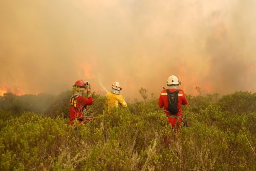 A la fecha se han registrado 75 incendios en la región Amazonas, de los cuales ya se han logrado extinguir 50, mientras que 8 están controlados y 9 permanecen activos.