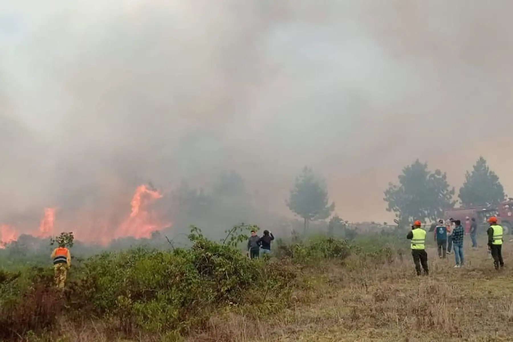 Amazonas registra ocho incendios forestales en septiembre y más de 426 hectáreas afectadas