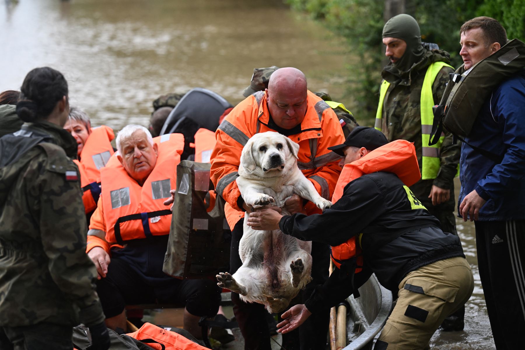 Rescatistas y soldados polacos evacuan a los residentes locales y a su perro en la aldea de Rudawa, al sur de Polonia.
Foto: AFP