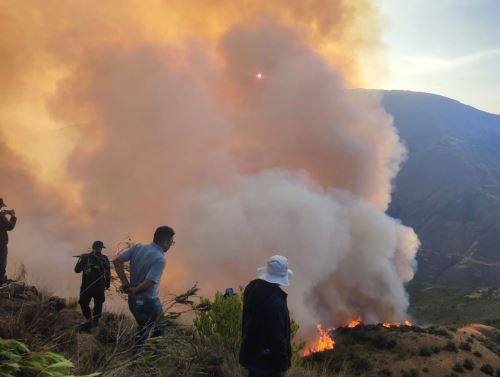 Los incendios forestales han generado una mayor contaminación ambiental en la región San Martín que sigue en alerta por las altas temperaturas anunciadas por el Senamhi.