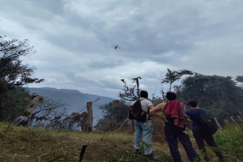 Más de 17,600 hectáreas, en su mayoría de cobertura natural, se han perdido en la región Amazonas por los incendios forestales.