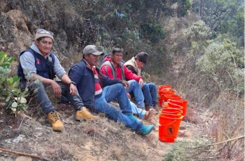 El Ministerio de Salud cuenta con unos 4,000 brigadistas en todo el territorio nacional, que son trabajadores de los diversos hospitales y centros de salud, dispuestos a activarse ante cualquier emergencia que pudiera presentar en el país.