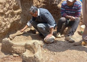 Investigadores peruanos hallaron fósiles de mastodonte en el distrito de Chambará, provincia de Concepción, en la sierra de la región Junín. ANDINA/Difusión