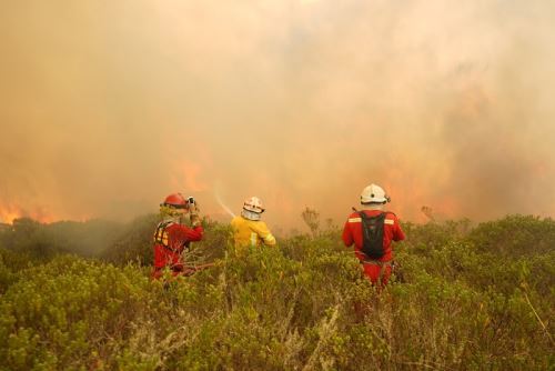 Ante la nueva crisis de incendios forestales que se vive en diversas regiones es necesario hacer un trabajo a largo plazo que comprenda desde la curricula escolar y universitaria, para dictar cursos relacionados a daños que causan los incendios. y el manejo que se debe realizar para evitar tragedias que afectan el medio ambiente y por ende la flora y fauna del Perú.