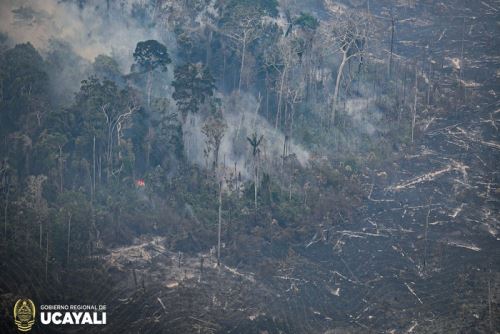 La zona más crítica se encuentra en el distrito de Nueva Requena, donde los incendios han consumido aproximadamente 7,000 hectáreas de bosque.