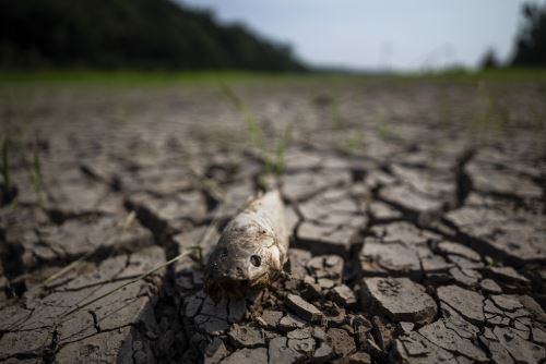 Primero los incendios y ahora la peor sequía en 45 años: la cuenca amazónica de Brasil sufre por la falta de agua