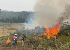 Brigadas contraincendios de Amazonas se dirigen a Lamud, Soloco y Asunción, las localidades más afectadas por los incendios forestales que se registran en esta región.