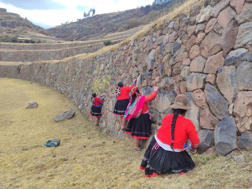 Artesanos realizan jornada de mantenimiento en los andenes Inca del parque arqueológico de Pisaq, en Cusco. ANDINA/Difusión