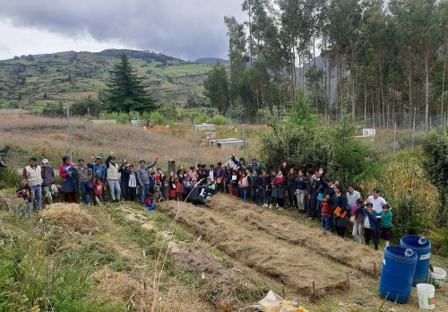 Transfieren más de 26 millones para elevar la productividad del sector agropecuario. ANDINA/Difusión