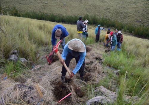 Serfor promueve alternativas para evitar que los agricultores quemen los residuos de cosechas o rastrojos que podrían causar incendios forestales incontrolables. ANDINA/Difusión