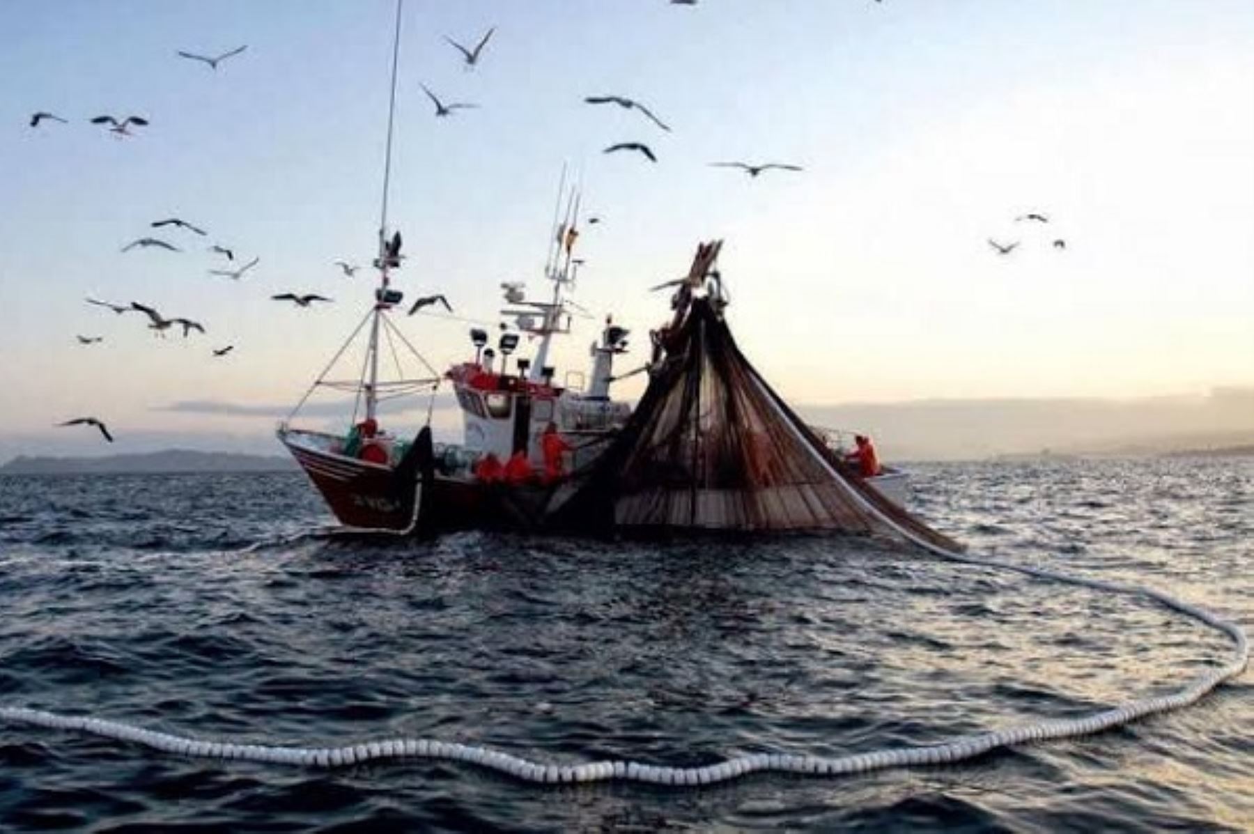 Pesca de anchoveta. Foto: Cortesía.