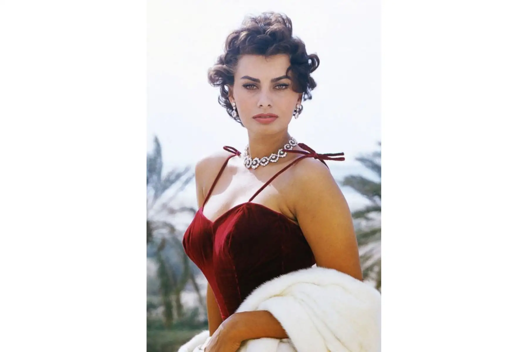 Los 90 años de Sophia Loren estarán también marcados por una retrospectiva en el Lincoln Center de Nueva York, mientras que la televisión pública italiana Rai retransmitirá varias de sus películas, como "Matrimonio a la italiana" (1964) con Marcello Mastroianni. Foto: ANDINA/Difusión