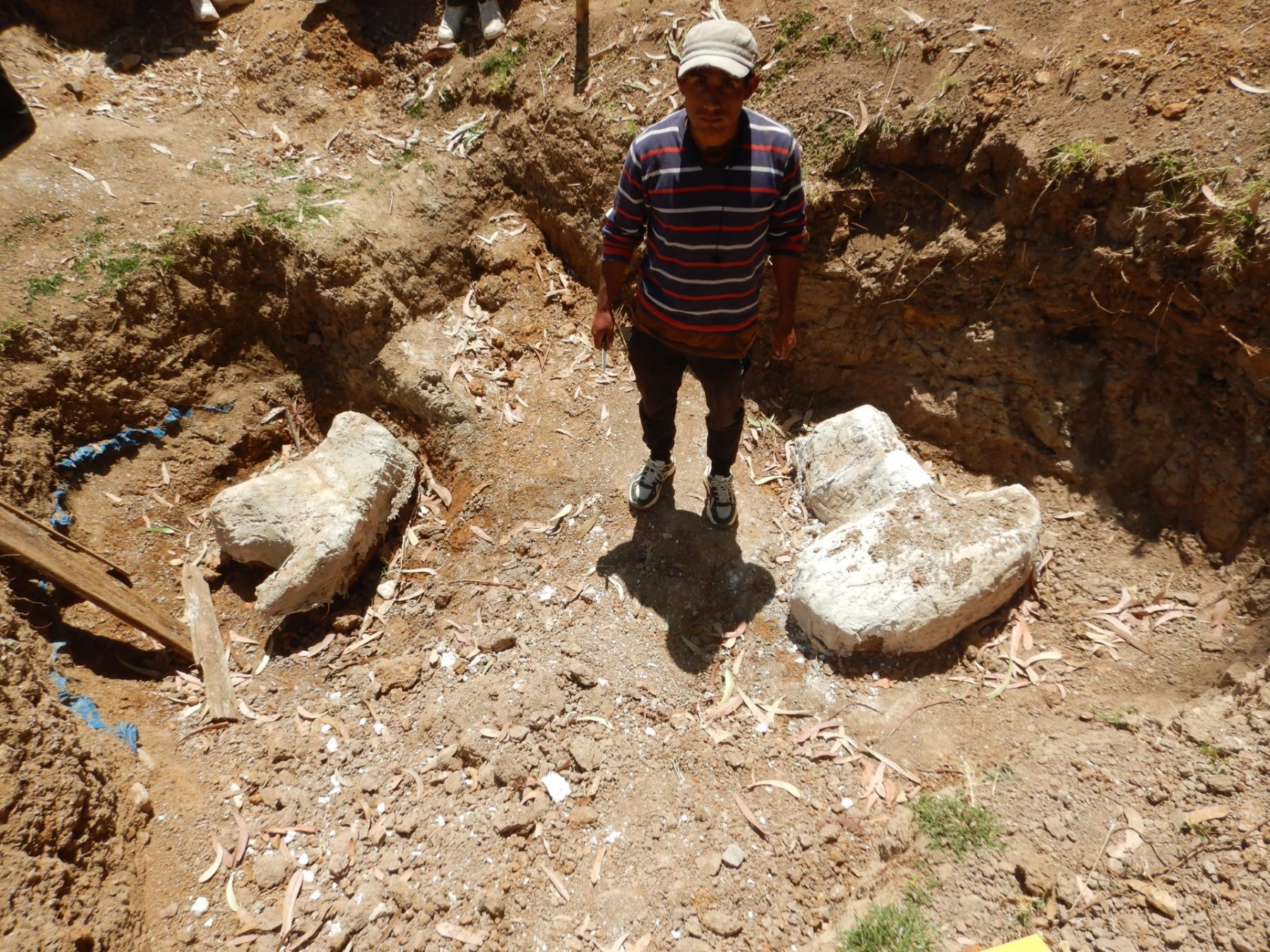 Chambará podría ser la zona fosilífera de mastodontes más importante del Perú: En este lugar se han hallados fósiles de al menos tres mastodontes. Foto: Iván Meza