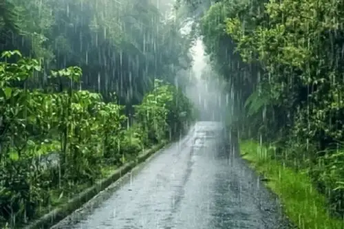 Para hoy se prevén acumulados de lluvia próximos a los 60 mm/día en la selva norte, a los 55 mm/día en la selva central y alrededor de los 40 mm/día en la selva sur. Foto: ANDINA/difusión.